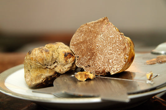 What are white truffles?